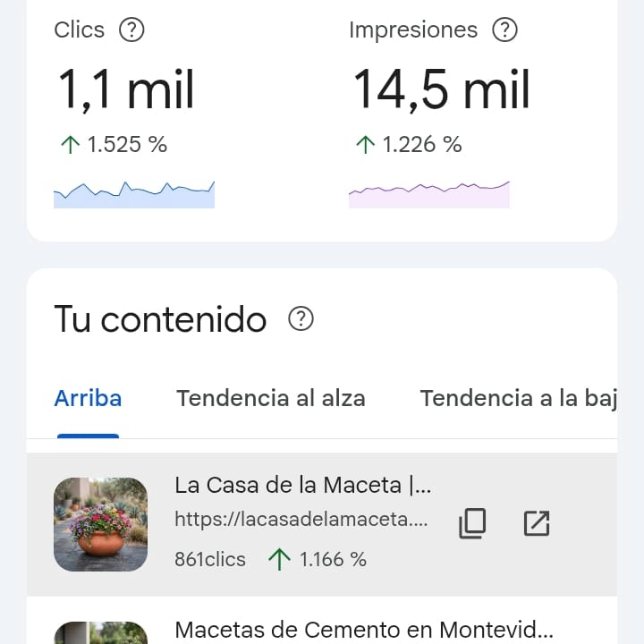Search Console: 1.100 clics y 14.500 impresiones en 28 días